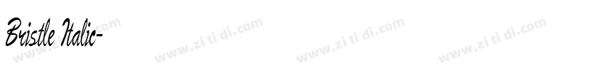 Bristle Italic字体转换 Bristle Italic字体转换
